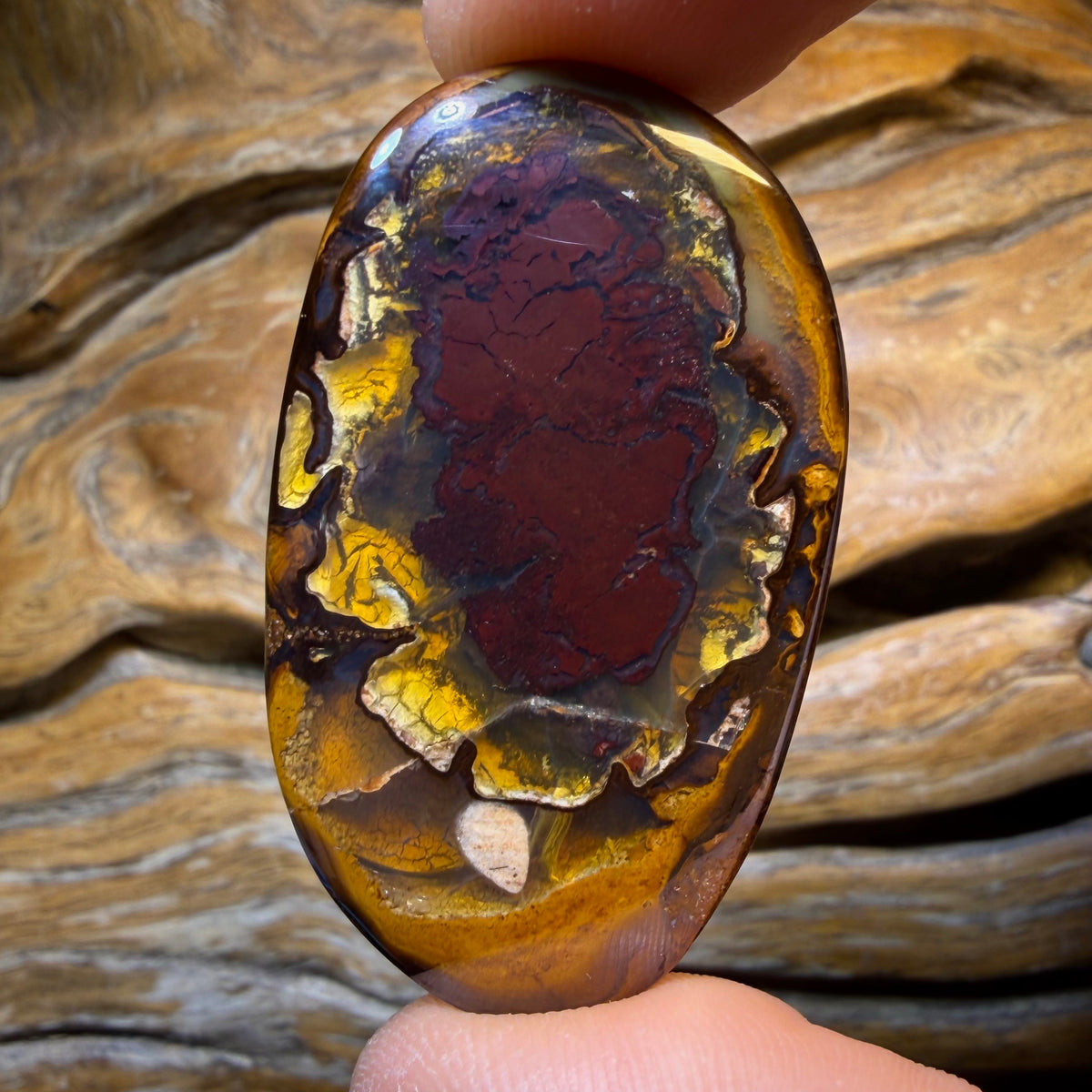 🔨 AUCTION 🔨 98.1cts - Tribal Yowah Nut Kernel Opal. Australian Opal