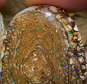 157.8cts - Yowah Nut Opal Matching Pair. Tribal Pattern