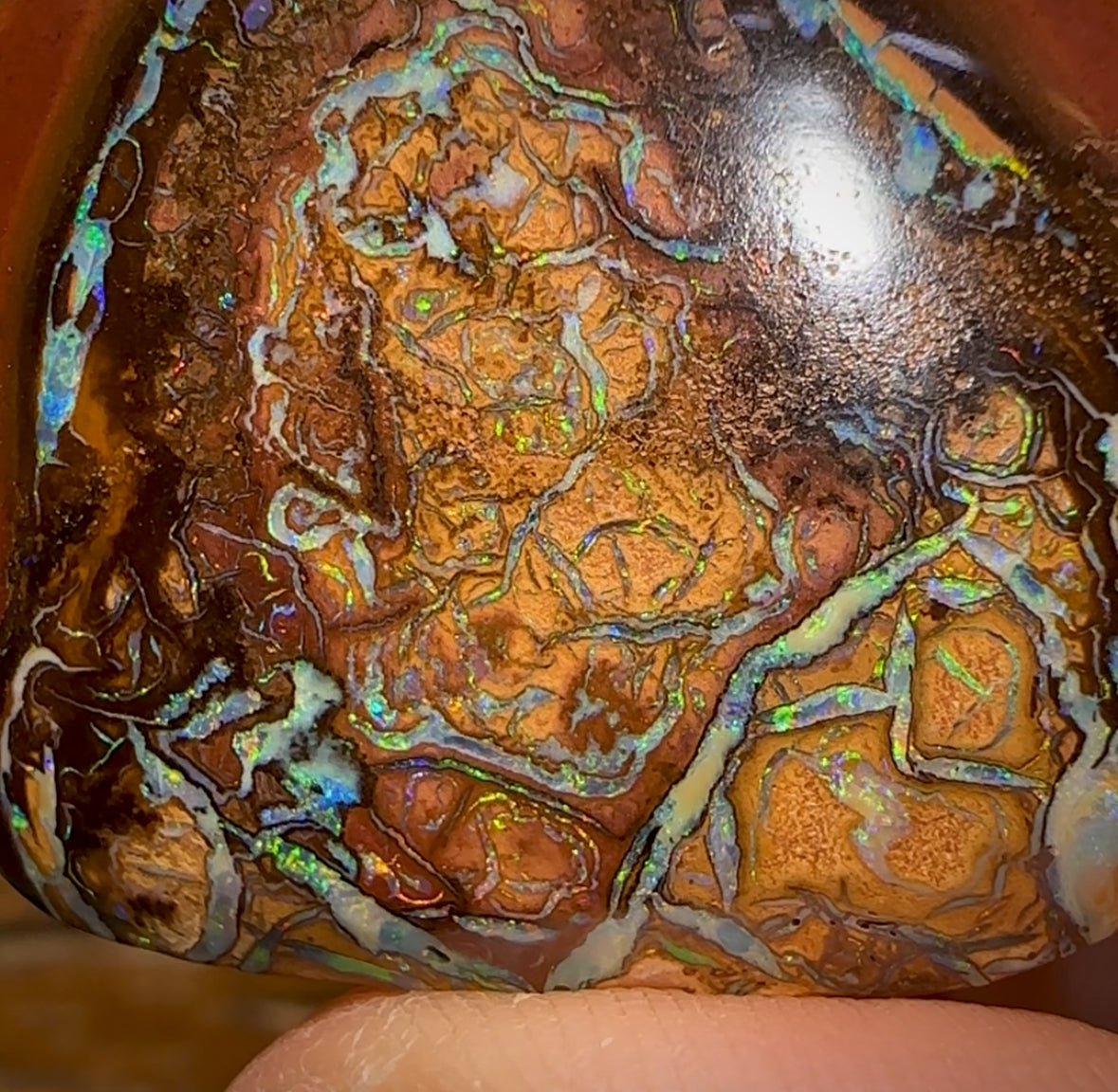 Auction Fall-Through = Your Gain! 🔥 Now More than 50% Off RRP 🚨   68.5cts - Top Yowah Nut Tribal Opal