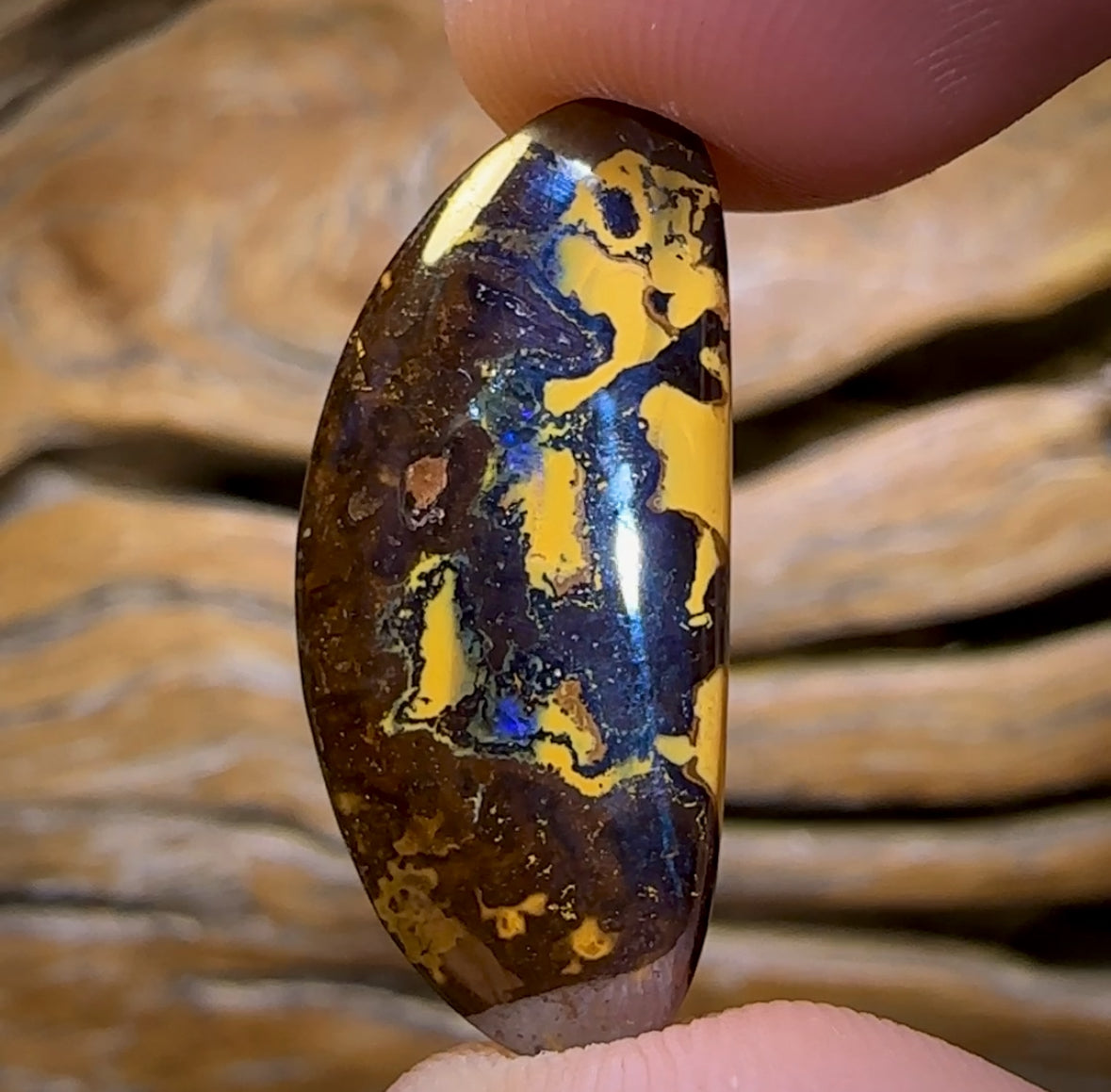 🔨 AUCTION 🔨 No Reserve 15.9cts - Yowah Nut Opal. Australian Boulder Opal