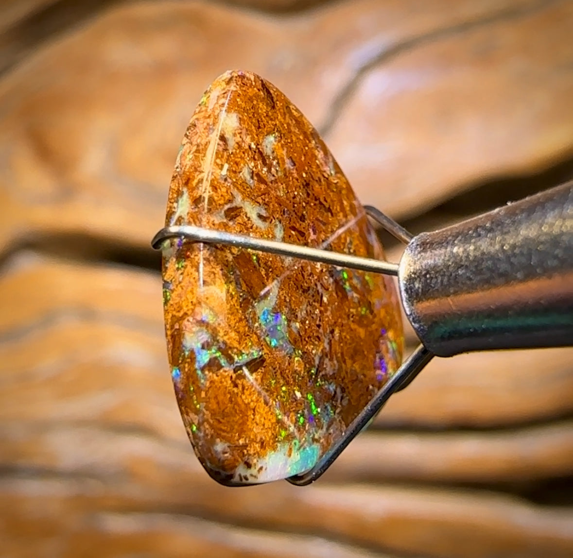 4.9cts - Australian Boulder Pipe Opal from Yowah
