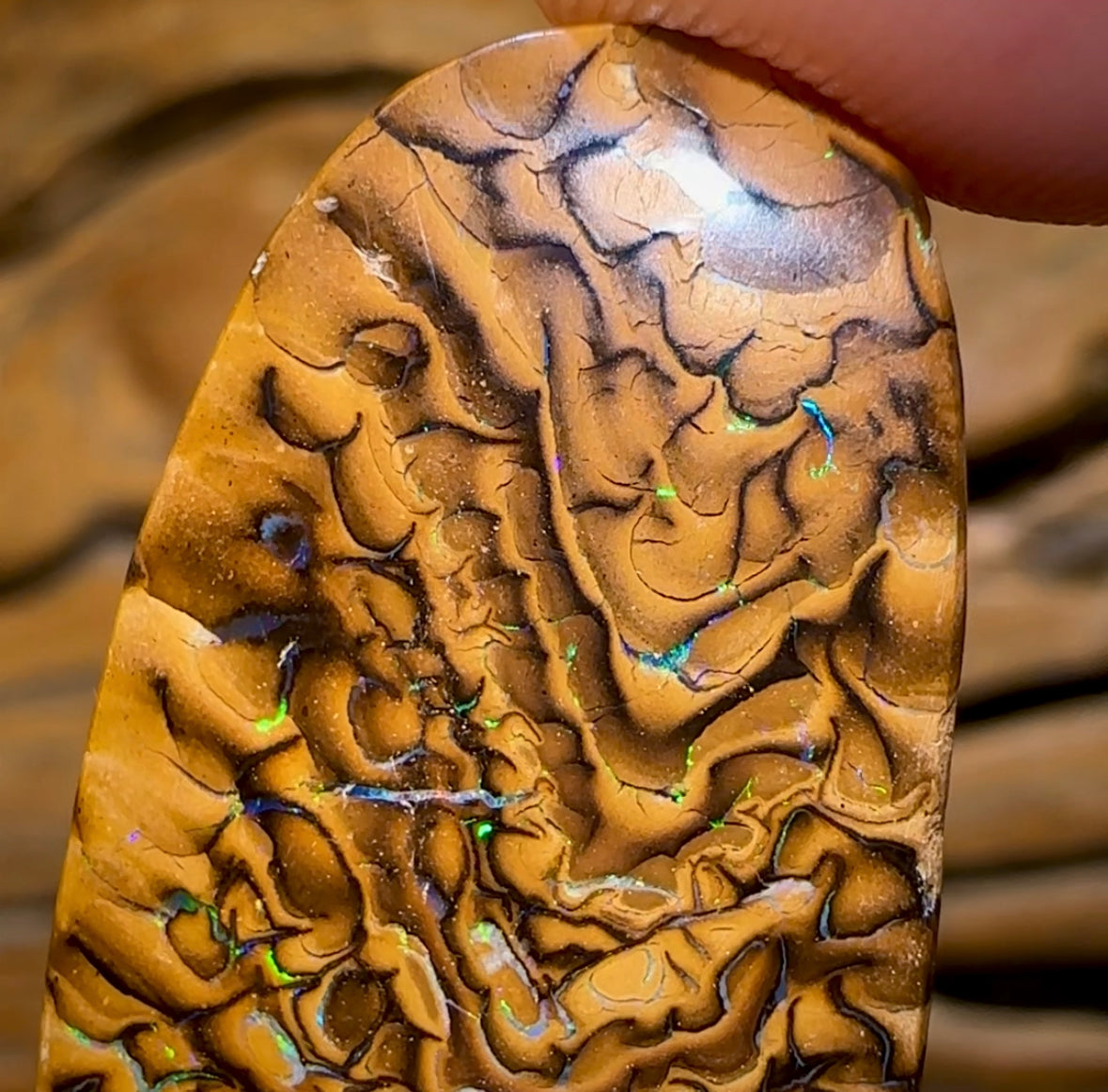 48.5cts - Yowah Nut Tribal Opal. Double Sided Tan Tribal - Opal Whisperers