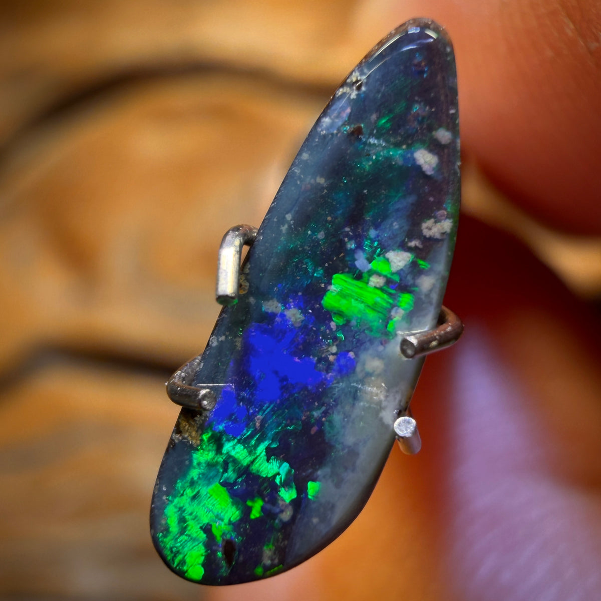 Bargain Card! 1.2cts - Australian Boulder Seam Opal