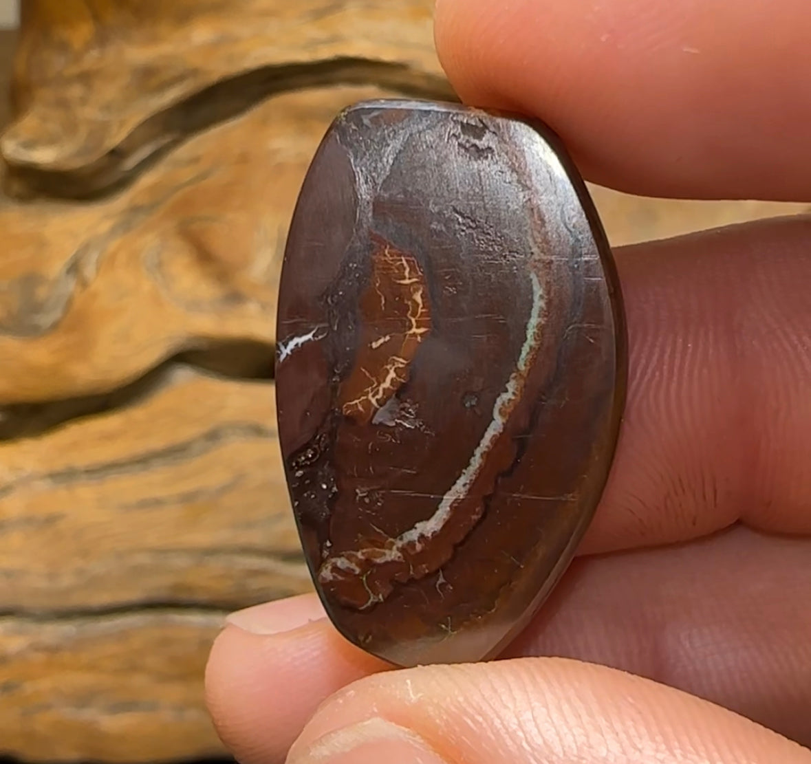 32.4cts - Queensland Boulder Opal - Opal Whisperers