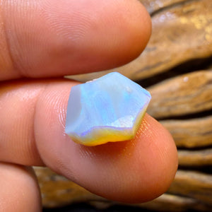 HDW 34.4cts - 3x Lightning Ridge Opal Rough Parcel