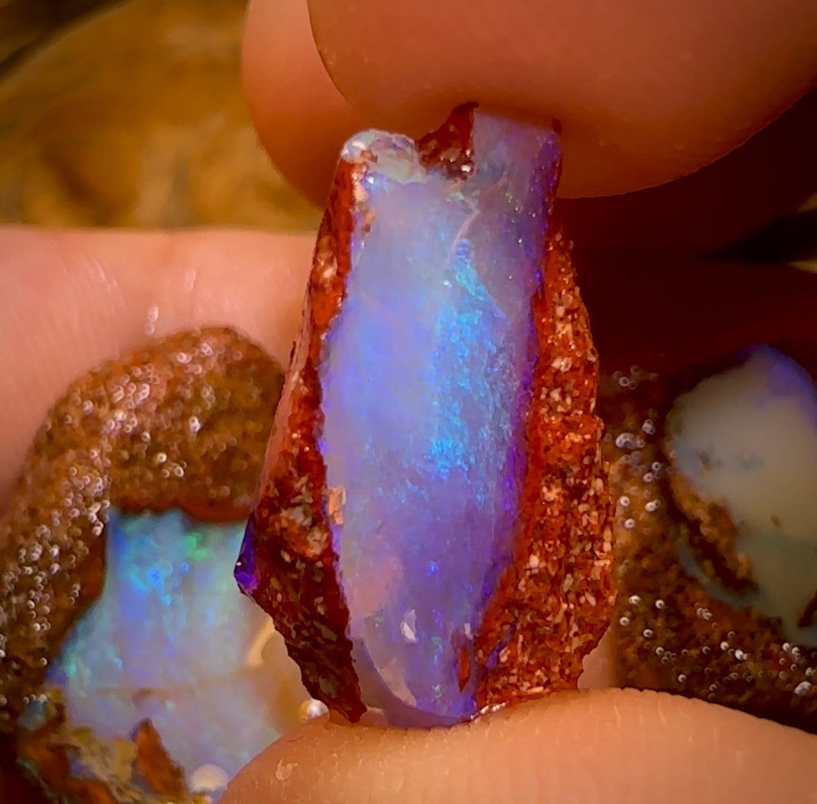 33.7cts - 3x Queensland Boulder Pipe Opal Rough Pieces