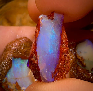 33.7cts - 3x Queensland Boulder Pipe Opal Rough Pieces