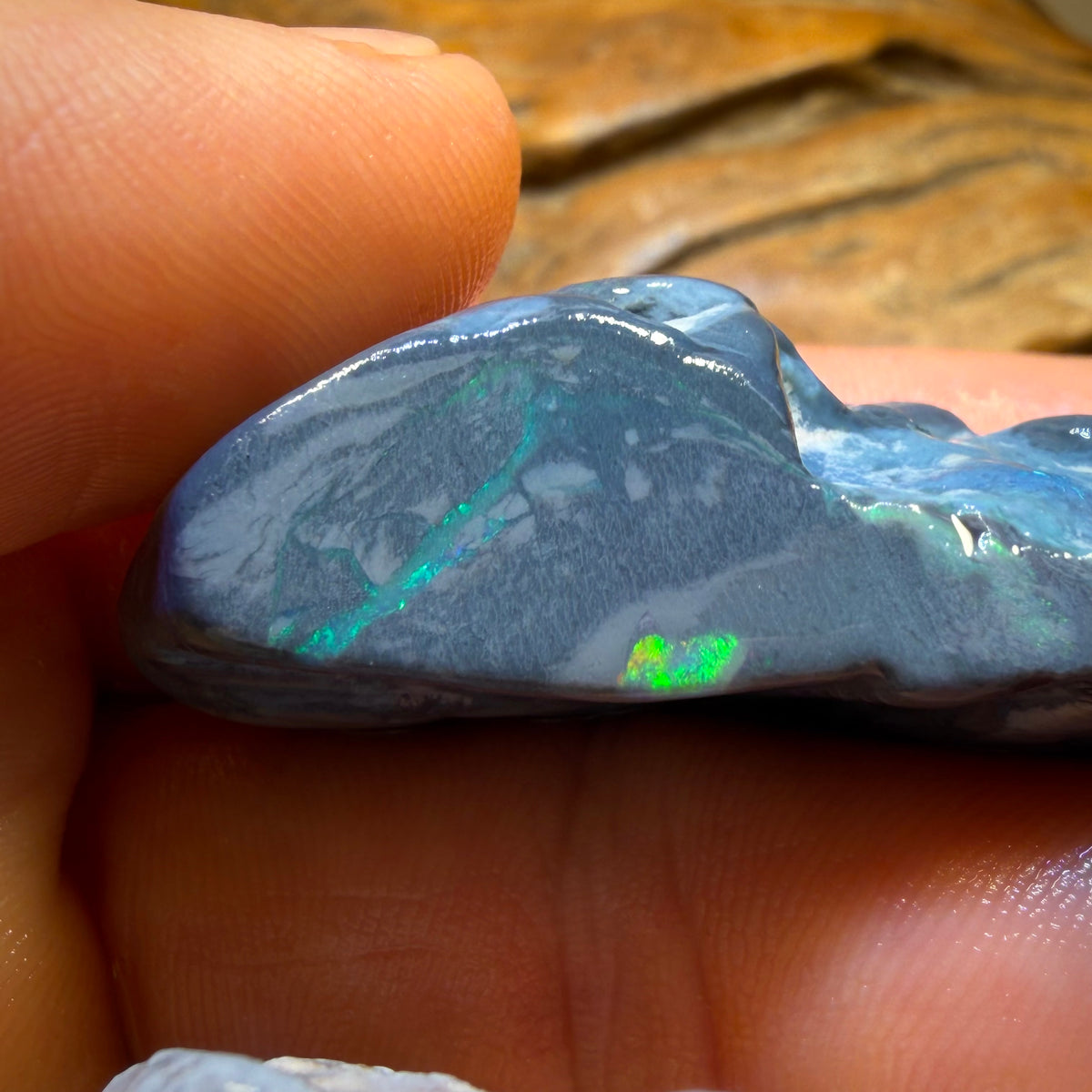 333.8cts - 3x Lightning Ridge Opal Rough Parcel