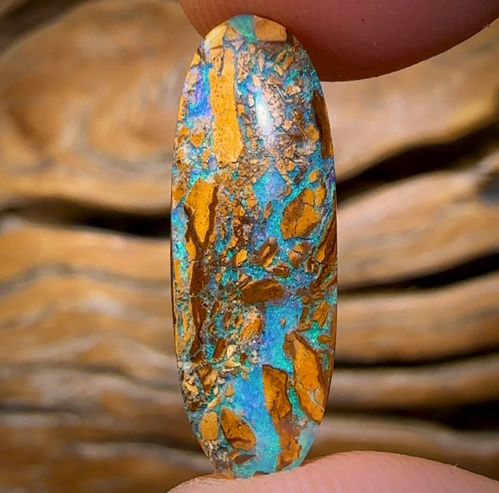 🔨 AUCTION 🔨 5.8cts - Australian Boulder Opal Fossil Wood Replacement Yowah. Double Sided!