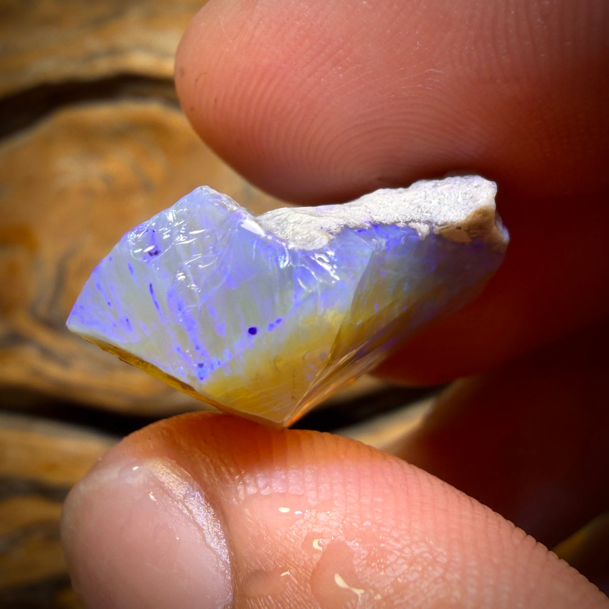 25.2cts - Lightning Ridge Opal Rough Piece. Isaac’s Cutter’s!