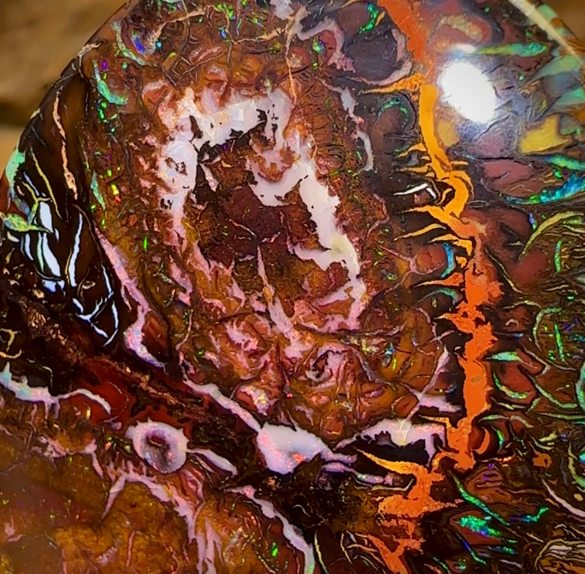 187.1cts - “Massive Big Boy Double Sided Picture Stone” Top Tribal Queensland Boulder Opal.