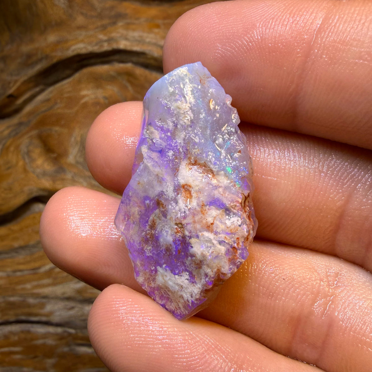 33.1cts - Lightning Ridge Crystal Opal Rough Piece