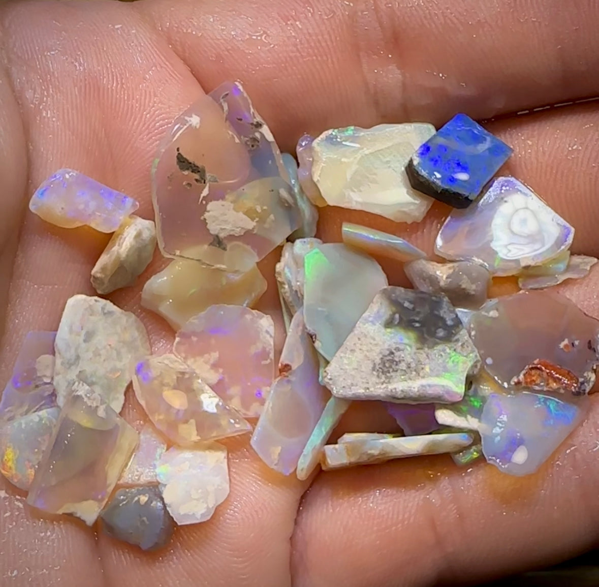 The 48.5cts - 40+ pieces Lightning Ridge Crystal Opal Rough - Opal Whisperers