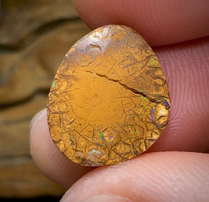 7.9cts - Australian Boulder Opal. Tribal