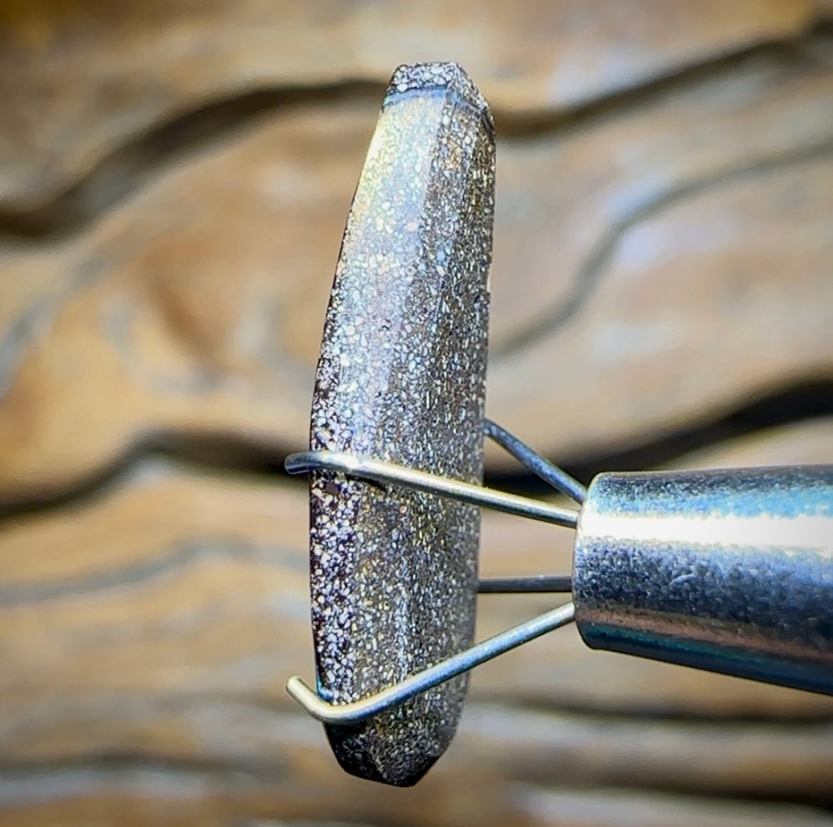 3.7cts - Queensland Boulder Black Opal from Winton - Opal Whisperers