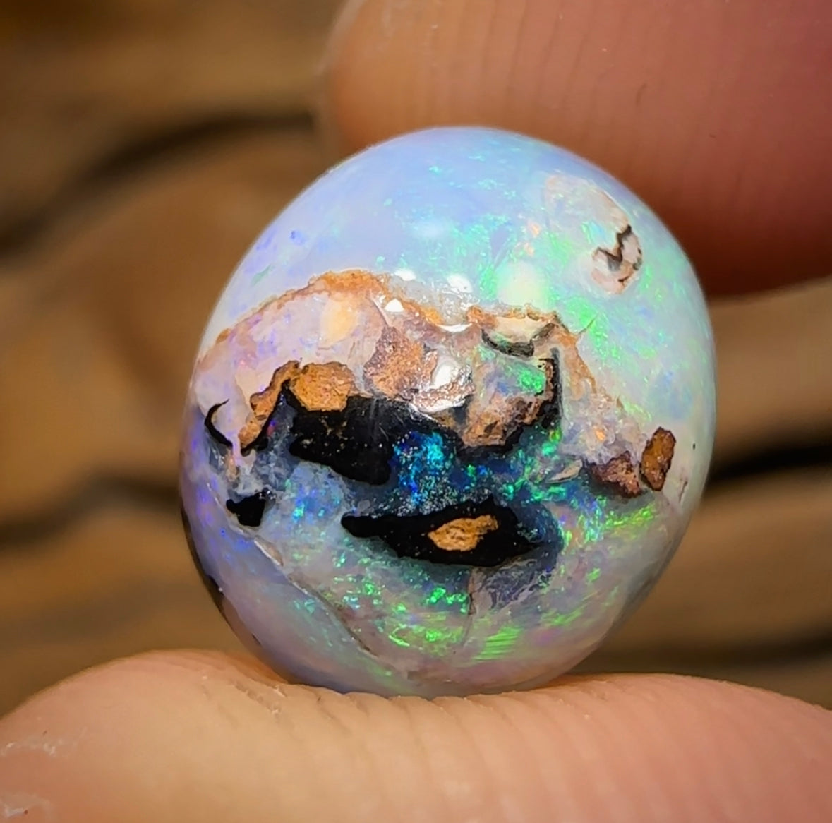 8.3cts - Yowah Nut Crystal Center Kernel Opal. Isaac “Magic Bean” Cut - Opal Whisperers