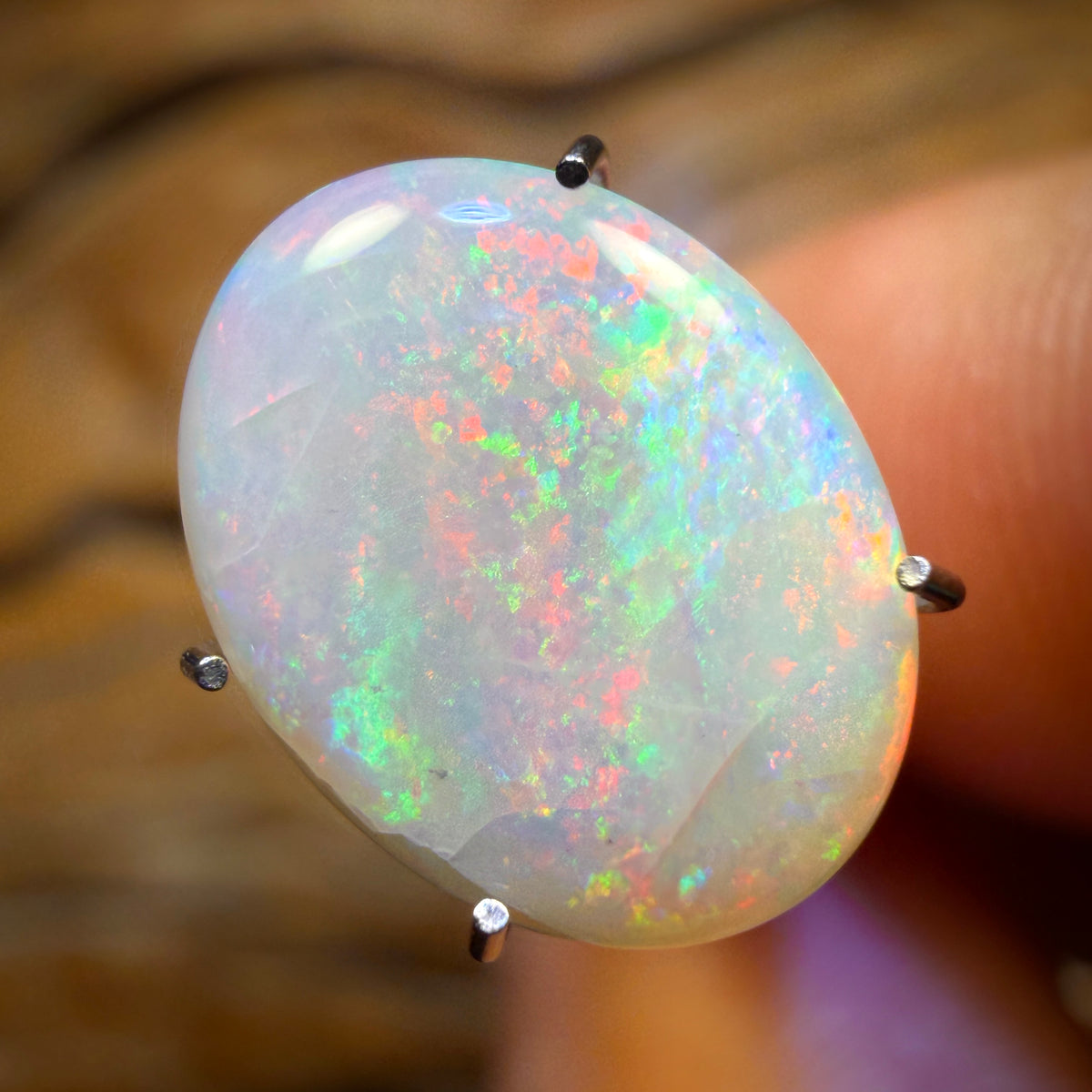 🔨 AUCTION 🔨 No Reserve 2.4cts - South Australian White Opal from Mintabie