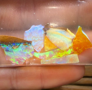 8.9cts - 7x Australian Yowah Golden Crystal Boulder Opal Rough Pieces - Opal Whisperers