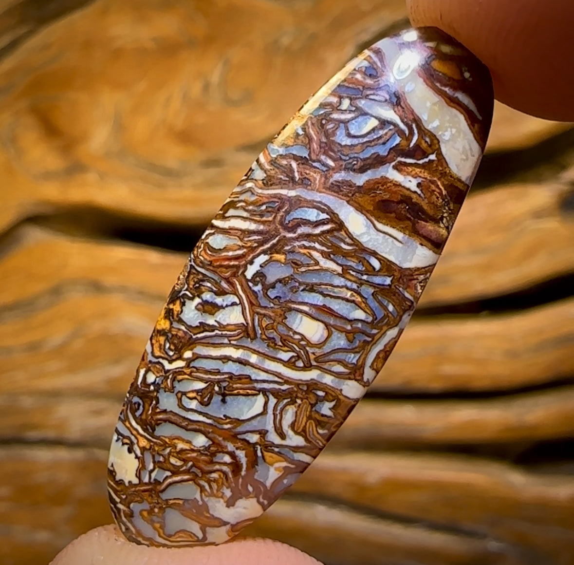 19.1cts - Awesome Tribal Queensland Boulder Opal. Double Sided!