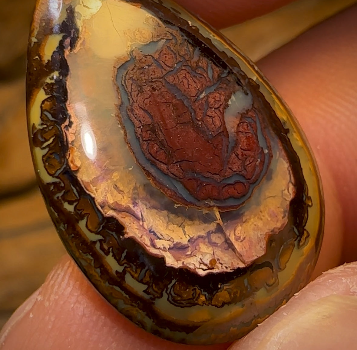 13.7cts - Yowah Nut Kernel Opal. Australian Boulder Opal