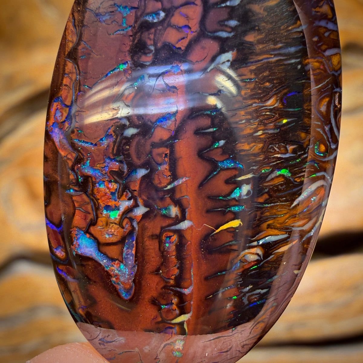 Aren’t You Glad you stayed until the end Card! 45.4cts - Tribal Koroit Nut Opal. Double Sided