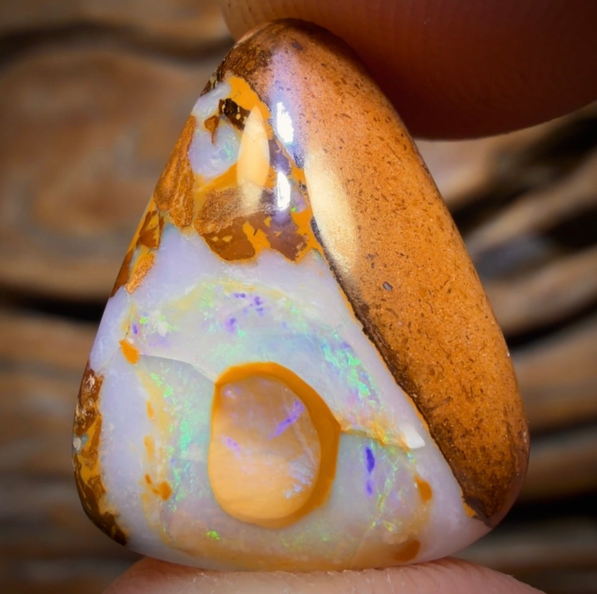 11.8cts - Yowah Nut Opal. Australian Opal