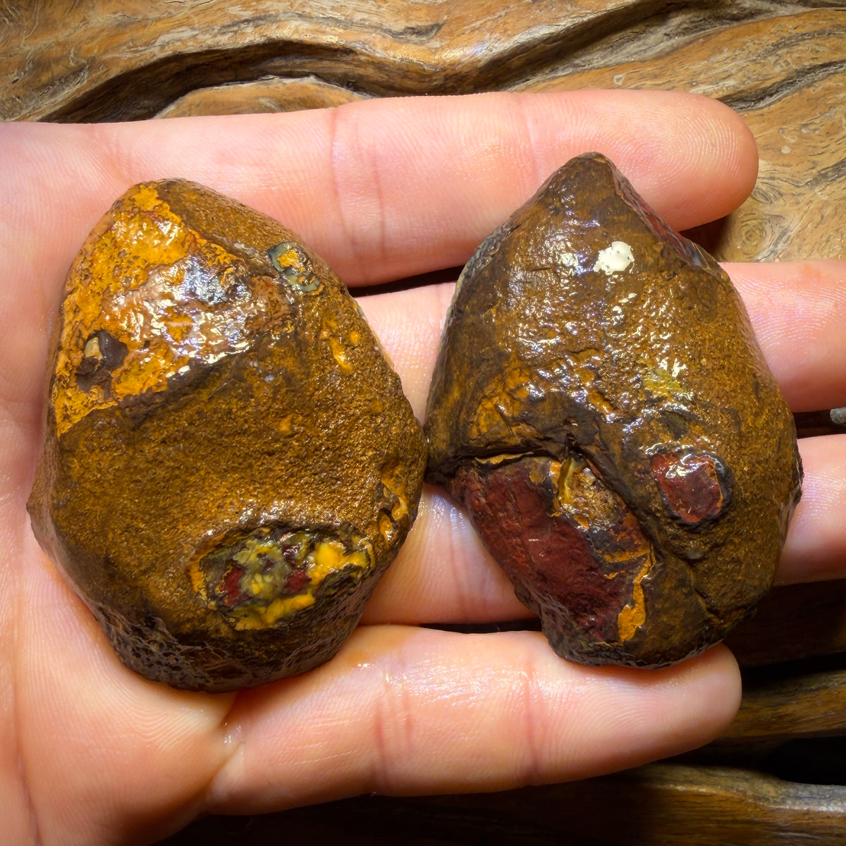 Wild Card! 416.1cts - RARE Yowah Nut Partial Crystal Centre Rough Specimen Pair