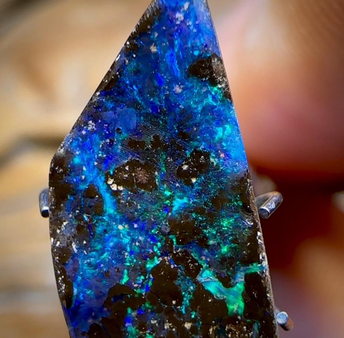 5.2cts - Queensland Boulder Seam Opal. Reef Pattern!