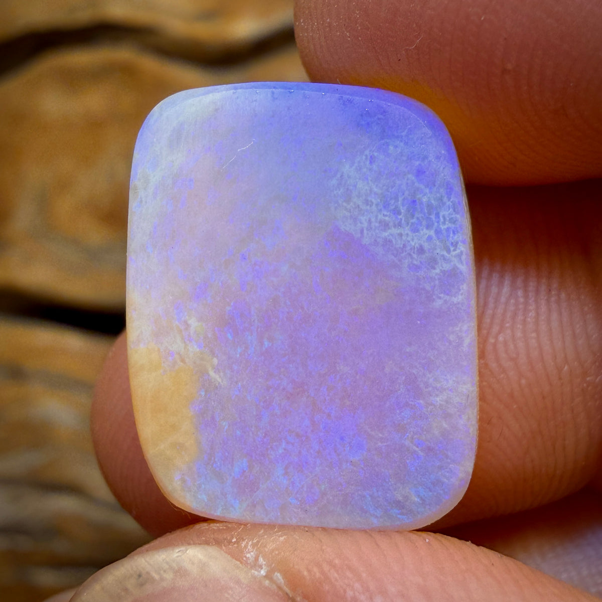 End of the night Wildcard! 12.9cts - Solid Australian Boulder Pipe Crystal Opal
