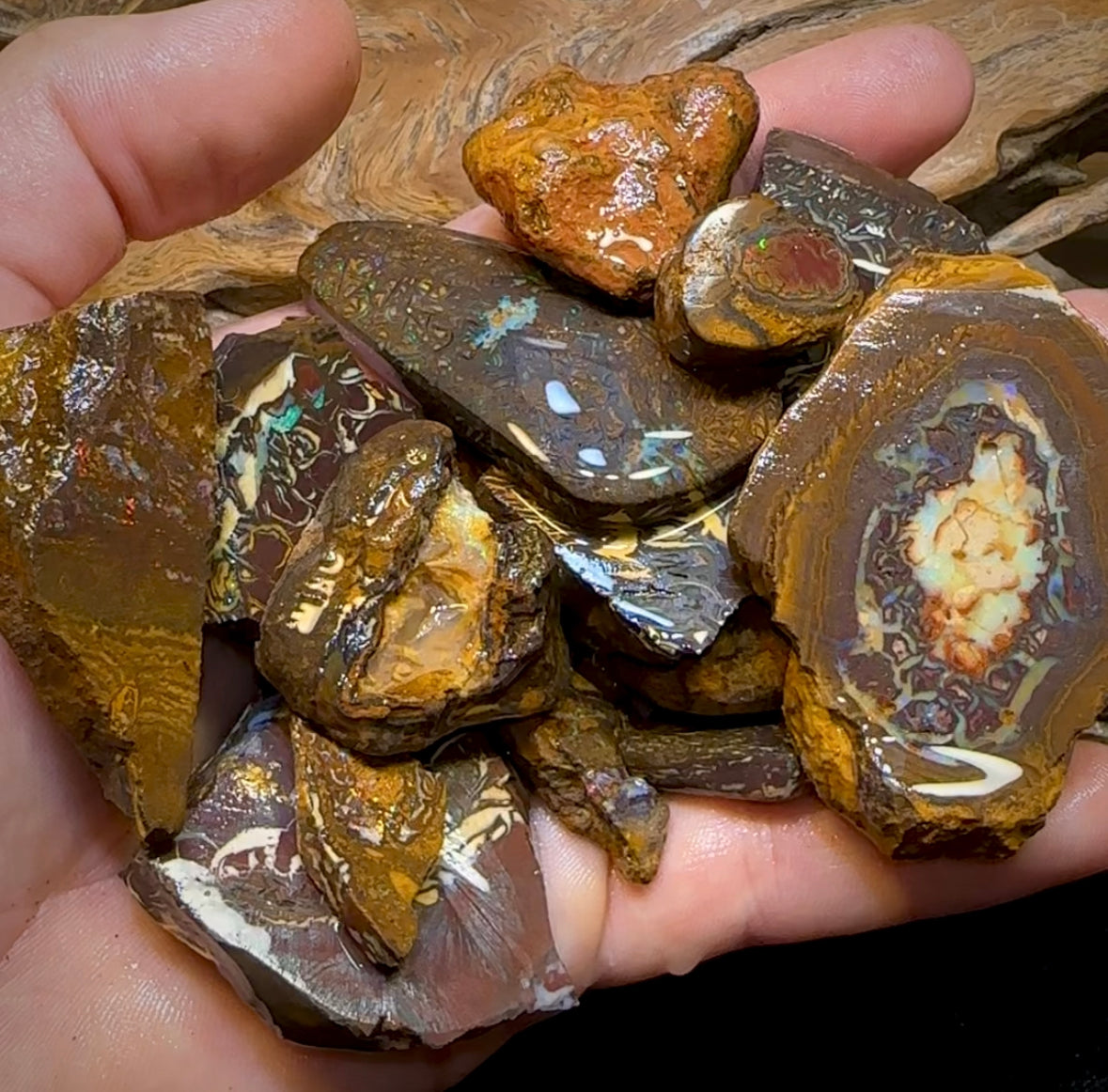 317.9g - 15x Yowah Nut Rough Pieces. Tribal and Crystal Centres Australian Opal - Opal Whisperers