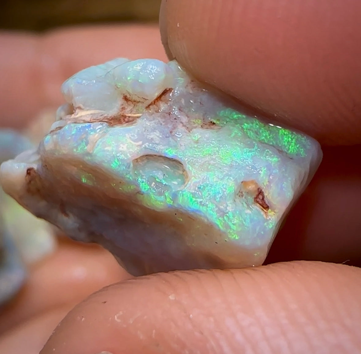 (Template) 62.45cts - 14x Lightning Ridge Crystal, Dark and Light Opal Rough - Opal Whisperers