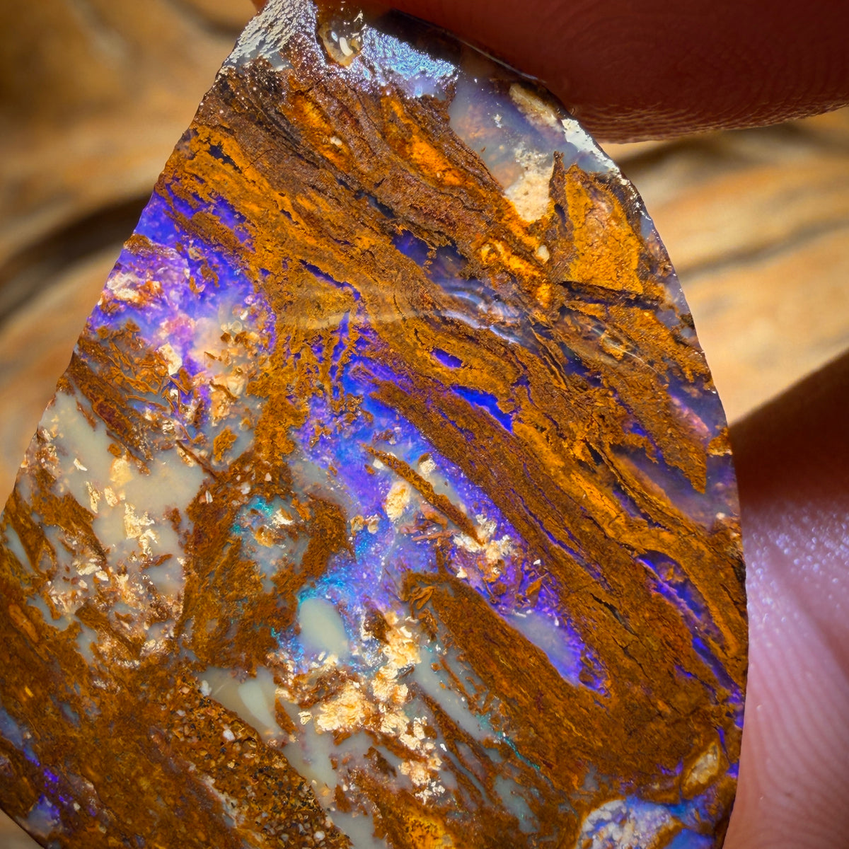 52.6cts - Vegetation Fossil Replacement Boulder Opal Rub. Double Sided!