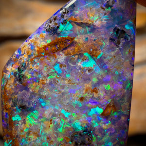 16.6cts - Gem Australian Boulder fossil replacment Opal