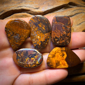 🔒190.4cts - 5x Australian Tribal Boulder Opal’s. Wholesale Dealers Parcel