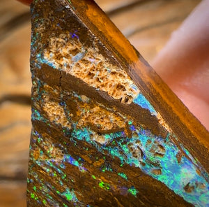 57.1cts - Queensland Boulder Wood Fossil Opal Preform Rub