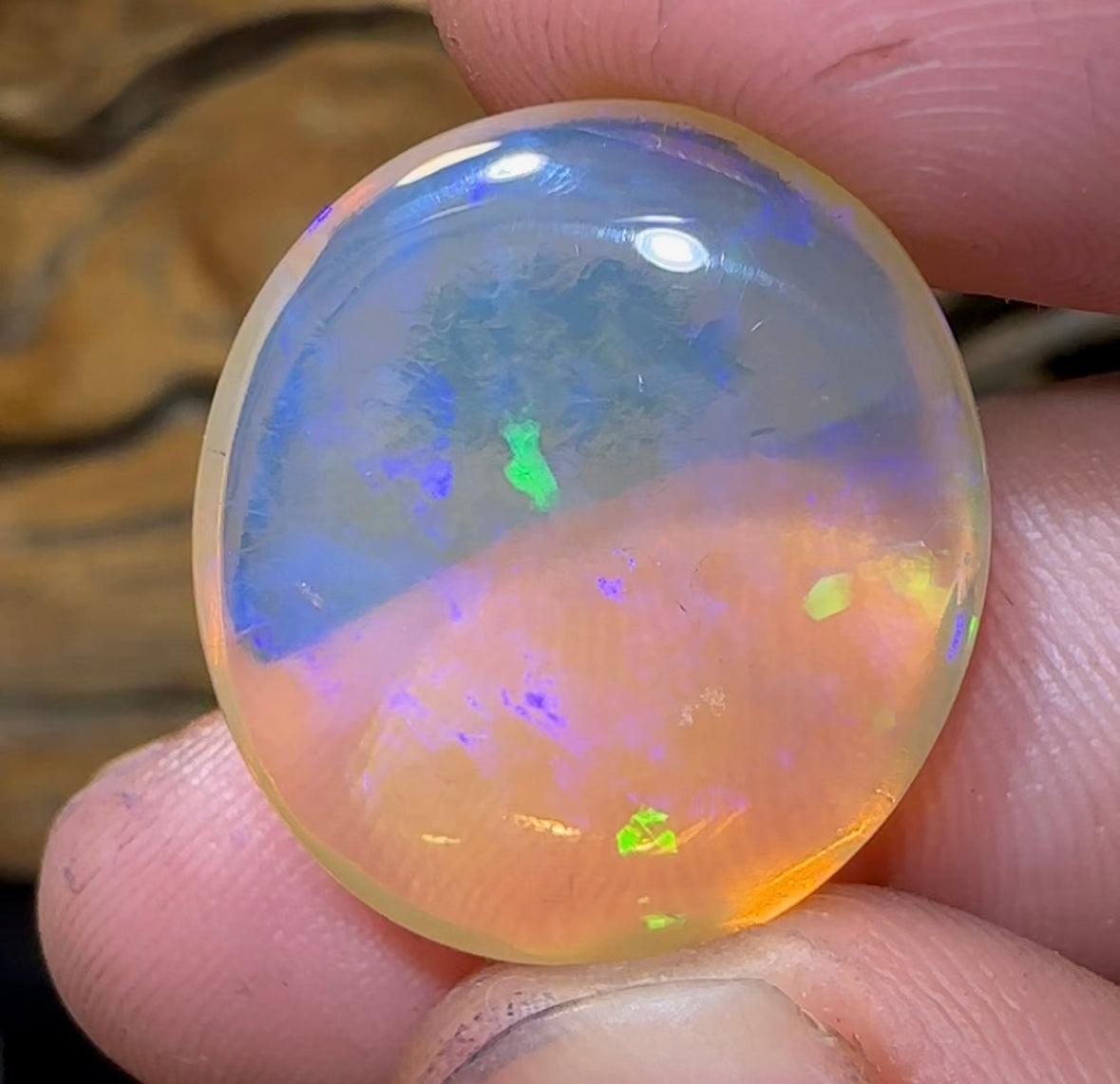 21.2cts - Lightning  Ridge pure Crystal Quality Opal - Opal Whisperers