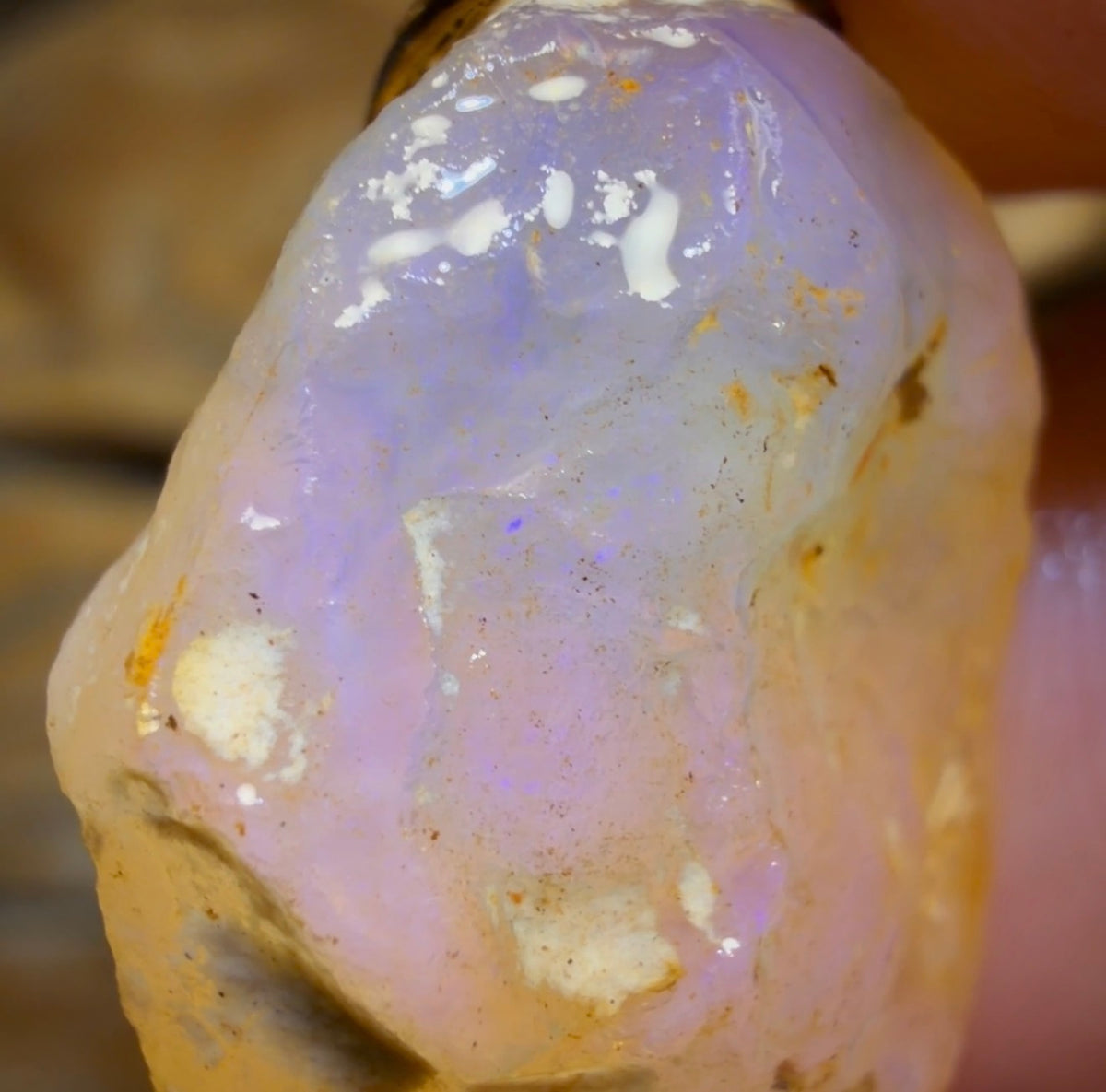 22.6cts - Rare Yowah Nut Crystal Centre Opal Rough Geological Specimen. Naturally Deshelled Wow!