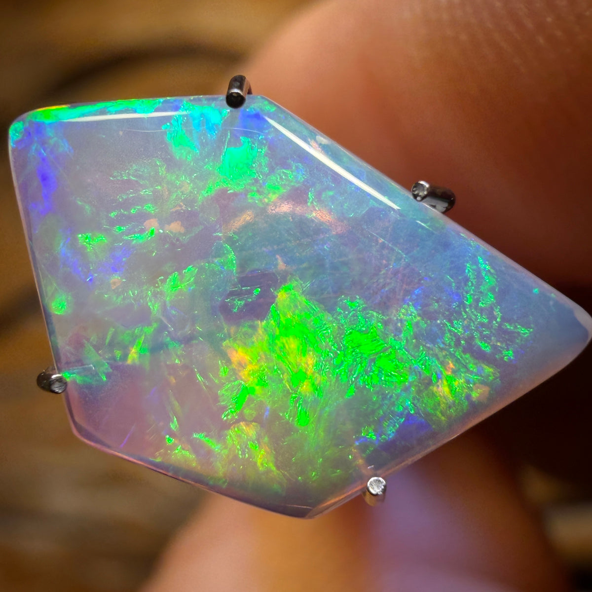 1.45cts - Top Old School Swiss Cut South Australian Crystal Opal from Coober Pedy