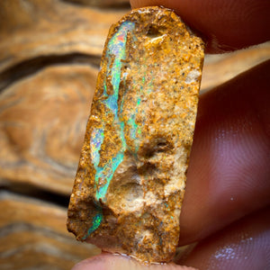 33,1cts - Boulder Pfeifenopal Rohstück. Australischer Opal