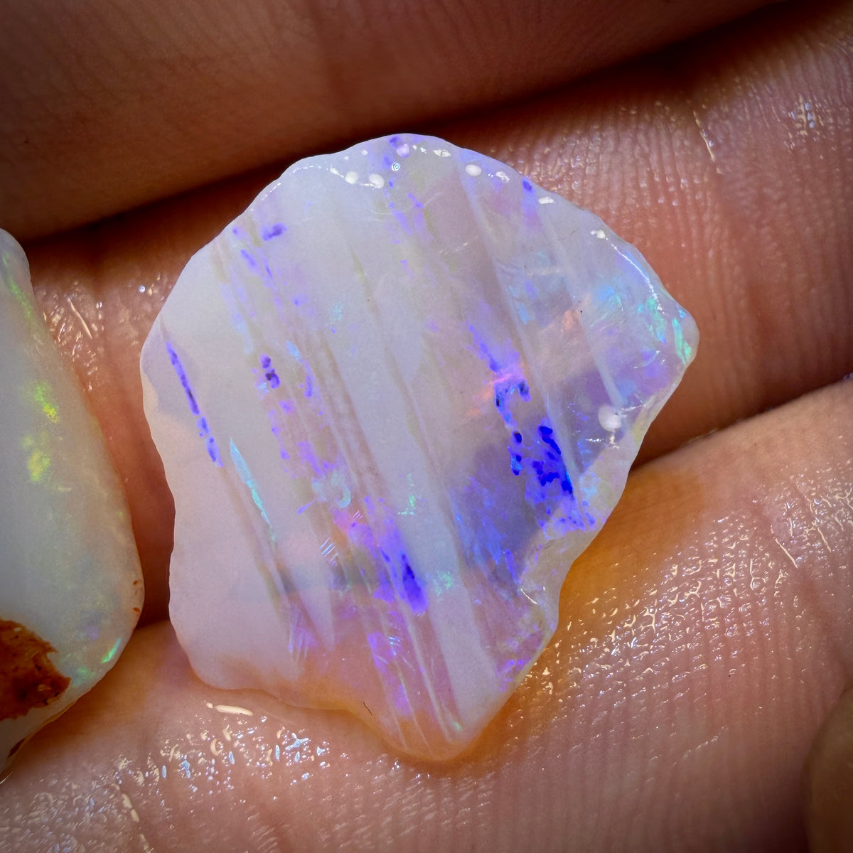 🔨 AUCTION 🔨 45.7cts - 3x South Australian Opal Rough Parcel