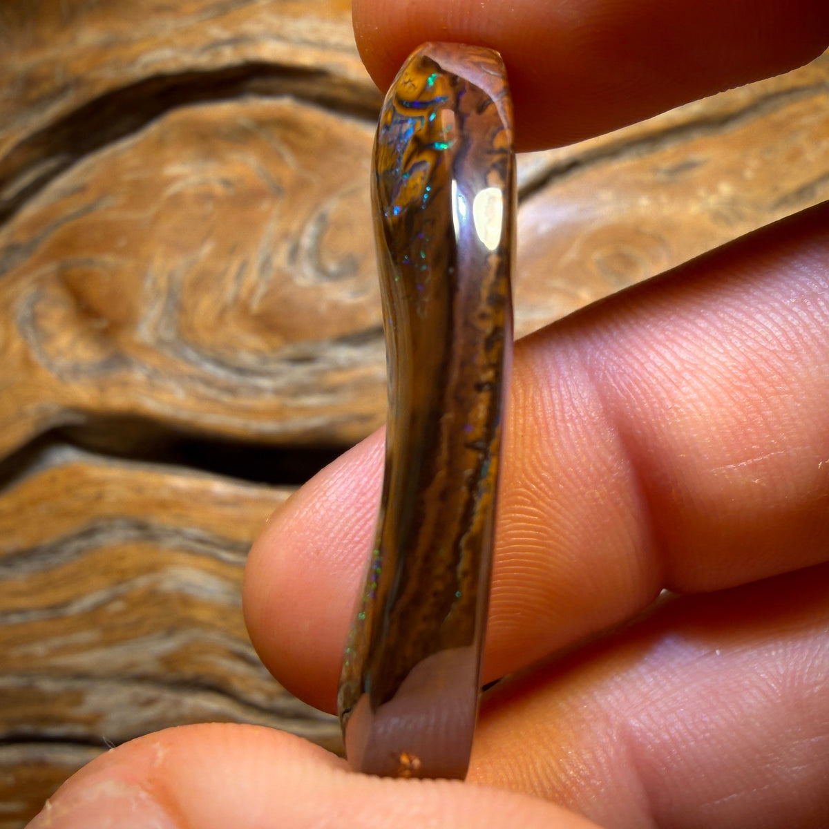 61.2cts - Top Queensland Boulder Opal from Yowah