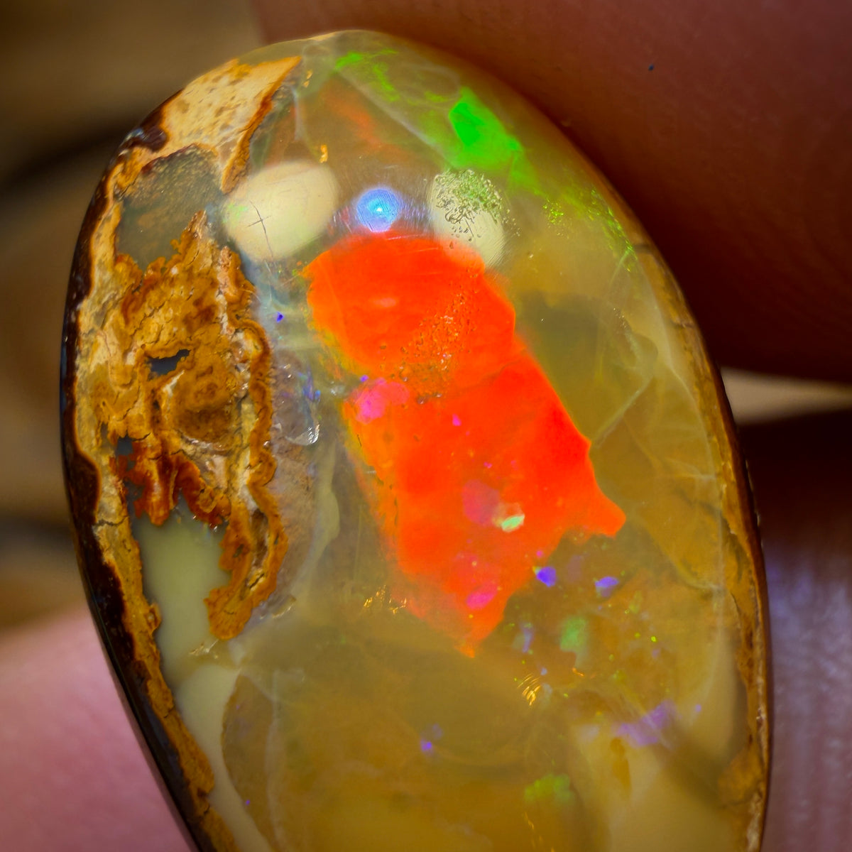 8.9cts - Amazing Suspended Golden Yowah Nut Crystal Centre Opal