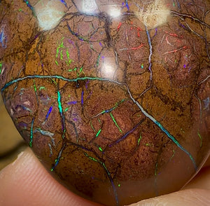 160cts - Large Yowah Nut Opal. Tribal Pattern