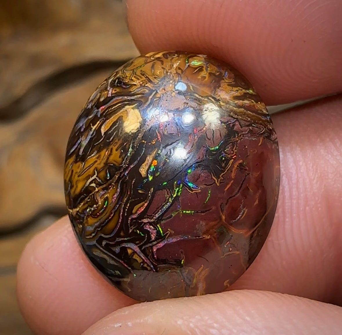 16.1cts - Yowah Nut Tribal Opal - Opal Whisperers