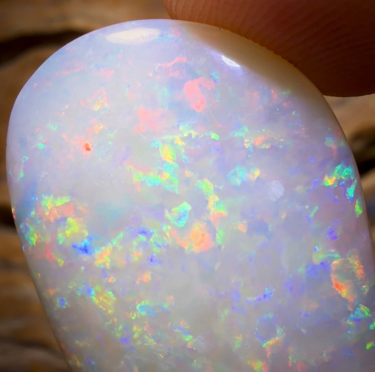 40.9cts - Large Olympic, South Australian White Opal