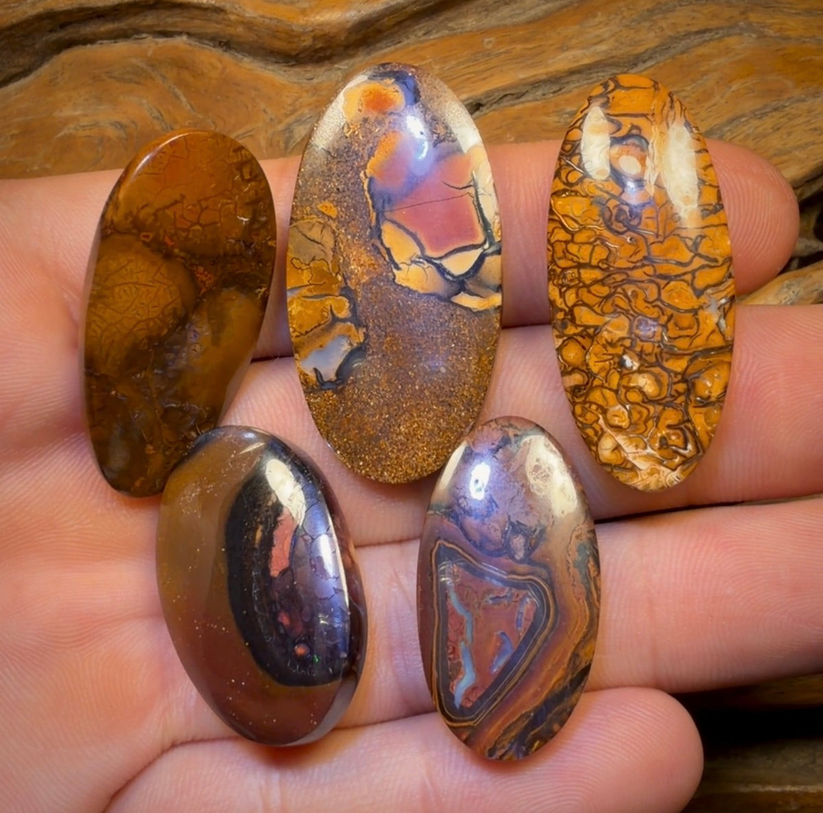 🔒 149.4cts - 5x Australian Tribal Boulder Opal’s. Wholesale Dealers Parcel