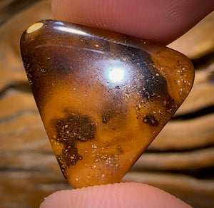 12.1cts - Australian Boulder Opal from Yowah with Red