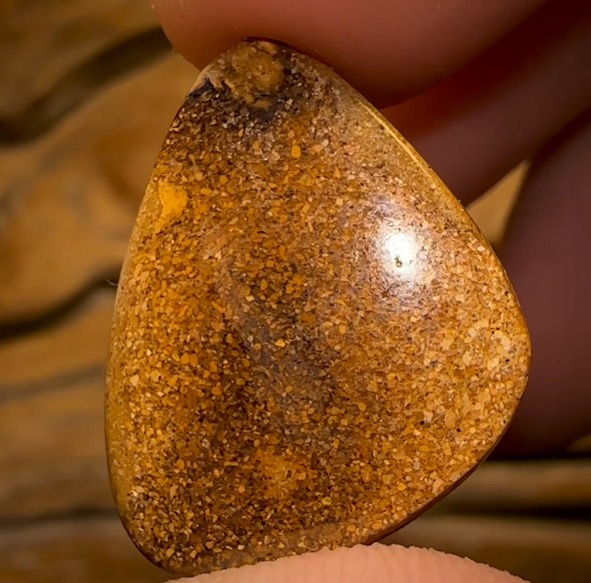 🔨 AUCTION 🔨 15.4cts - Yowah Nut Kernel Opal. Australian Boulder Opal