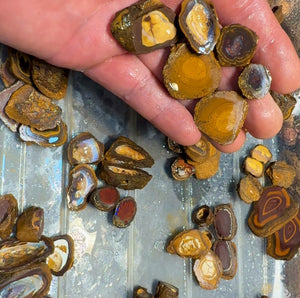 Isaac Choice - 3 x matched pairs - Jojo Yowah Nut Opal. Total 6 pieces New Price BARGAIN BULK LISTING