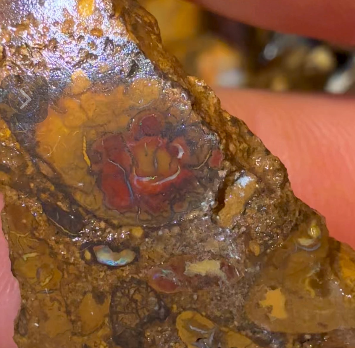 Isaac Choice 6 x Jojo Yowah Nut Opal Slices. New  Price Bargain in Bulk